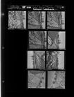 Wall Blown Down Cannon's Wachovia (9 Negatives) (March 6, 1963) [Sleeve 7, Folder c, Box 29]